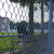 School-Fence-LisaW1231